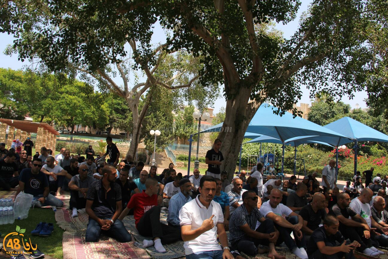 salah jom3a ajami (41).jpg